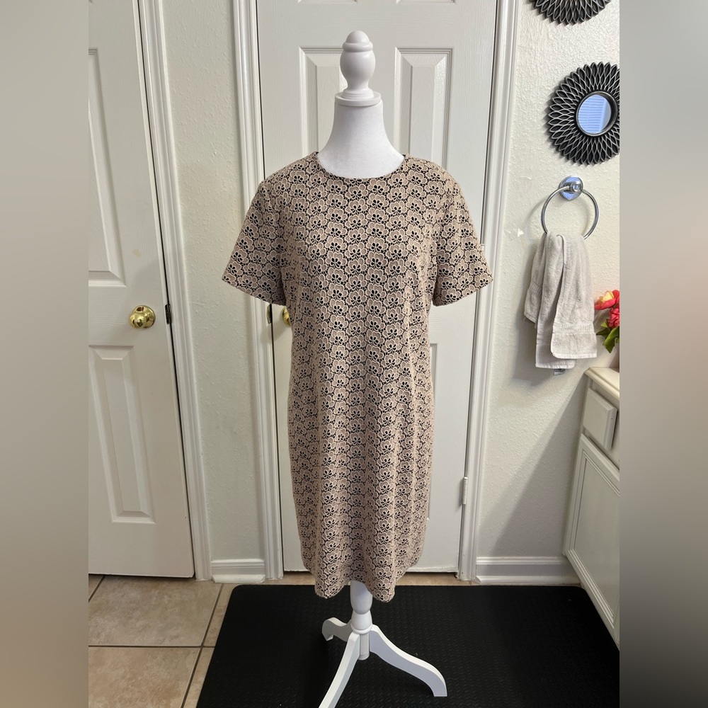 Diane von furstenberg women’s  lace dress size 12 short sleeve Back zip